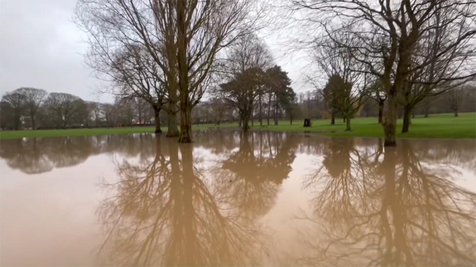 Ponding in parks