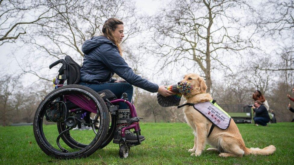 dog-with-owner.