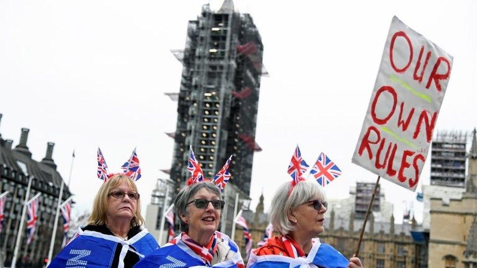 Pro-Brexit demonstrators