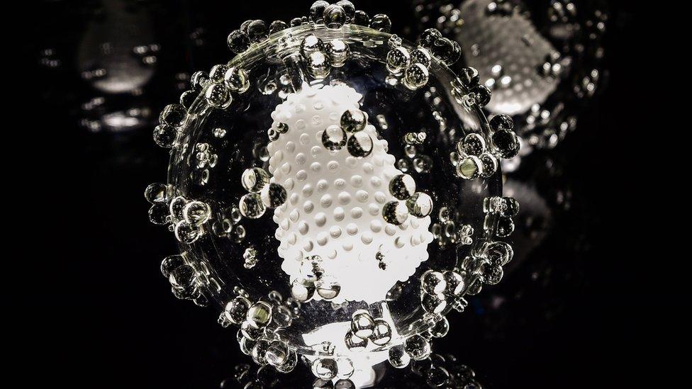 Glass Microbiology exhibit