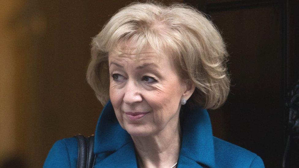 Andrea Leadsom