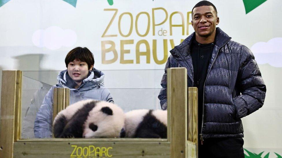 Zhang Jiaqi, Mbappe and the pandas.