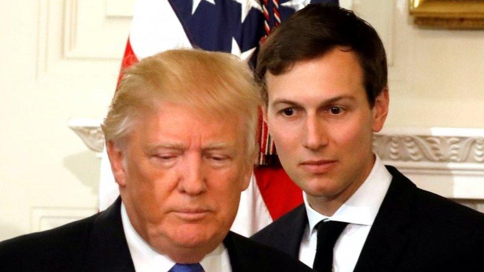 President Donald Trump (left) and Jared Kushner. Photo: February 2017