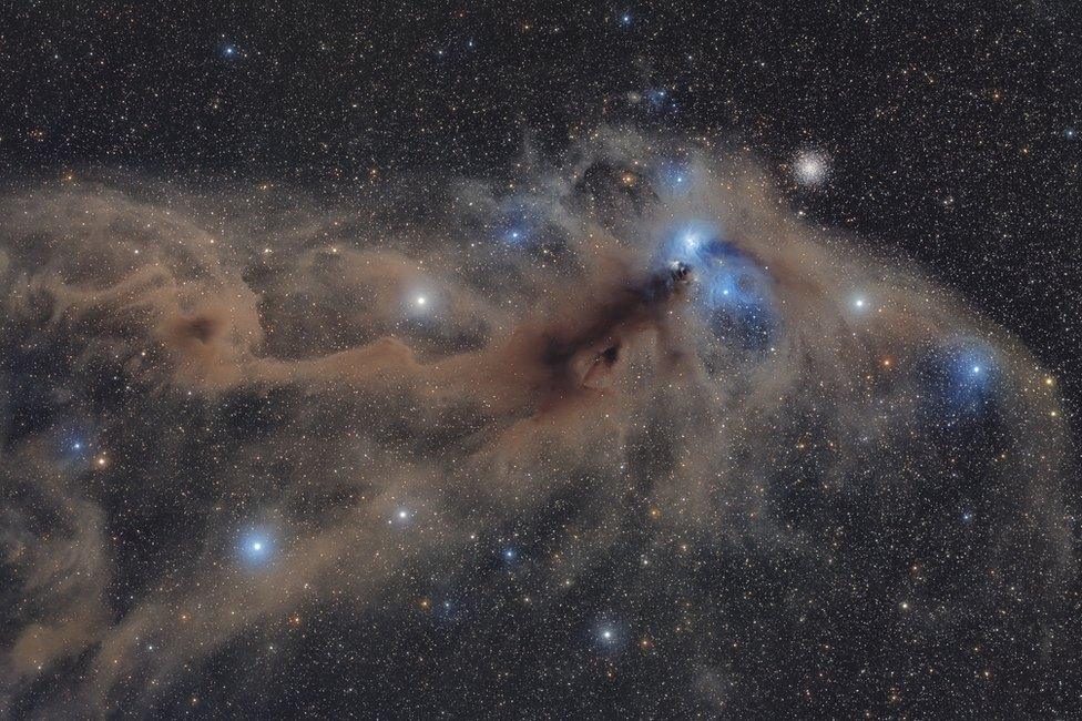 Corona Australis Dust Complex