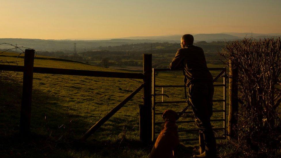 Farmer looks over farmland