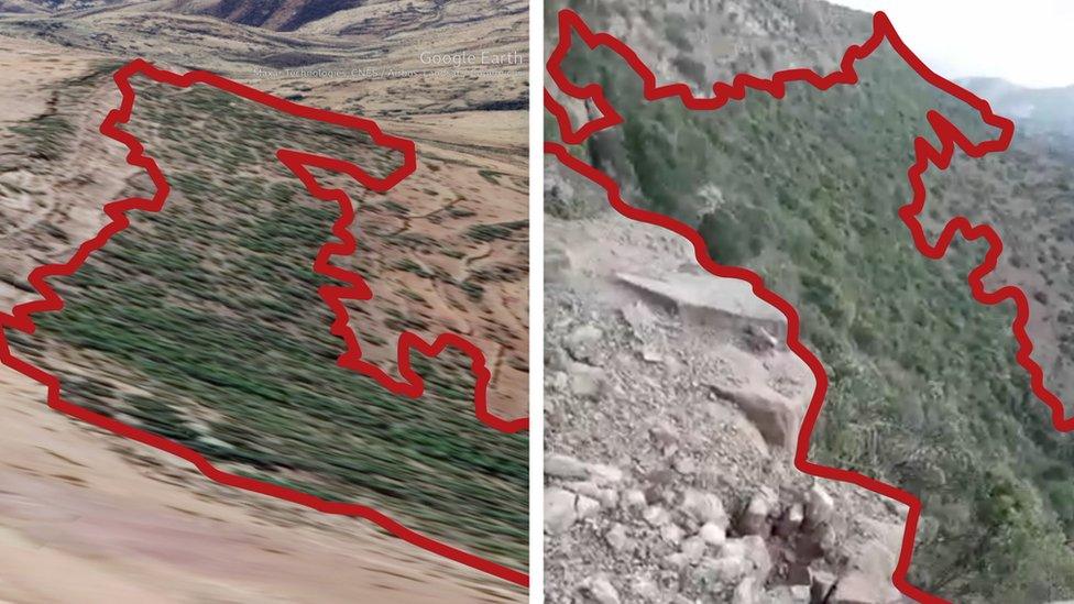 Vegetation seen in the footage was matched against the 3D satellite model