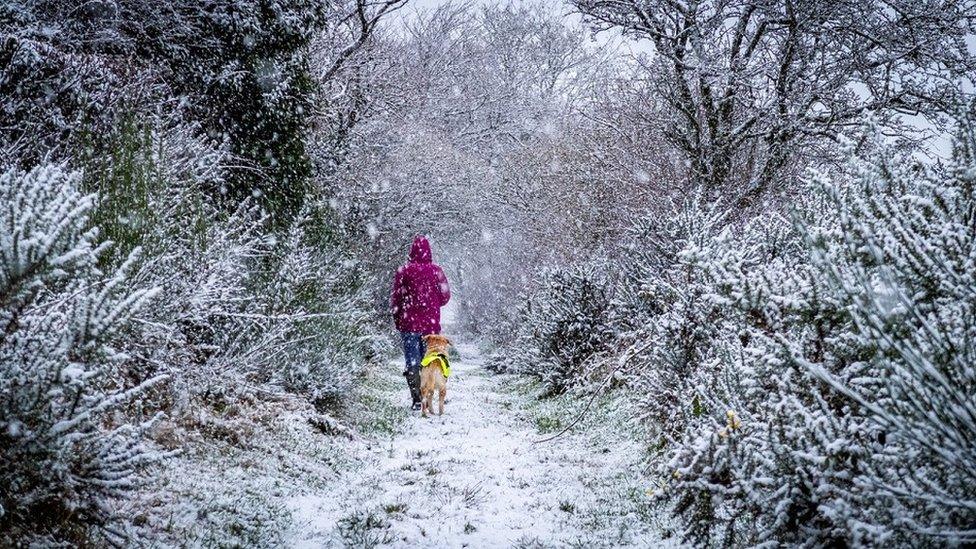 Snowy walk