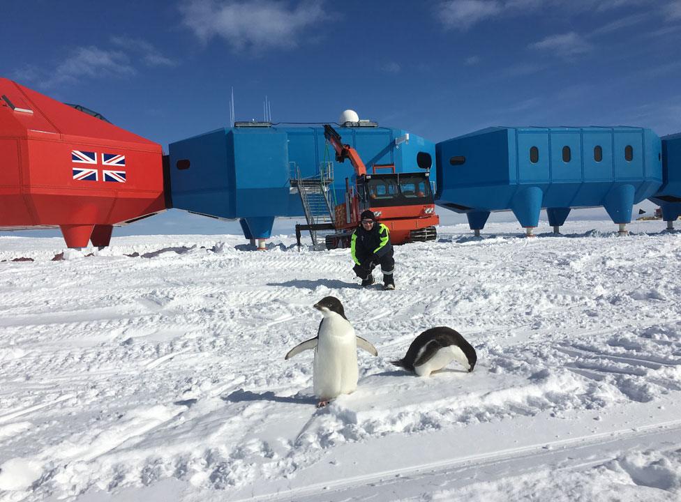 Peter Gibbs at Halley VI, with a couple of Adelie penguins