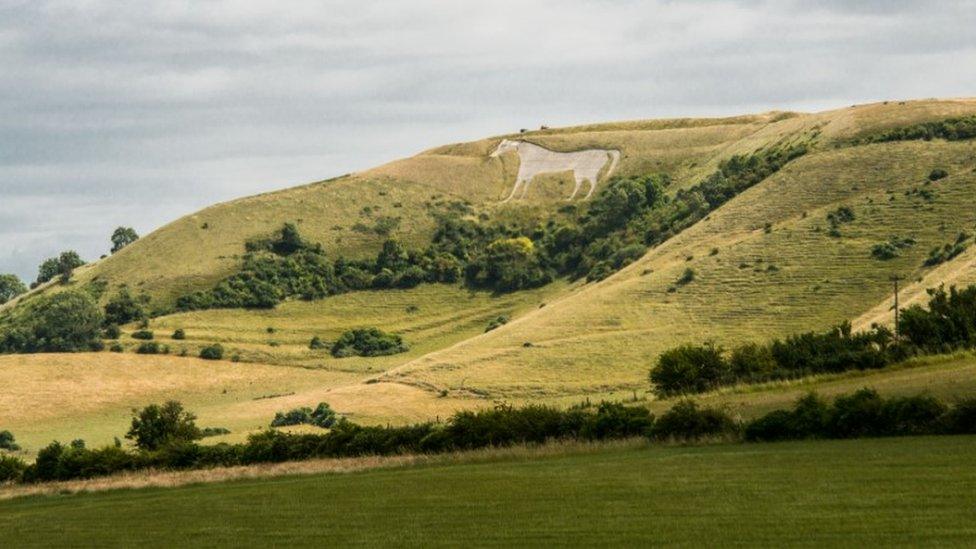 Looking across Salisbury Plain from White Horse Hill at Westbury in Wiltshire – with its giant chalk figure of a horse