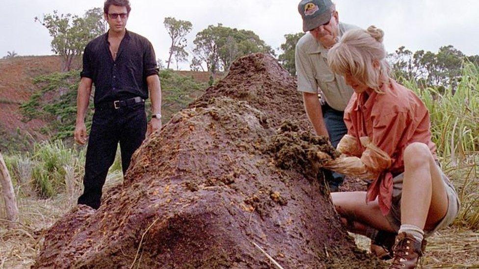 In Jurassic Park Dr. Sattler and Dr Malcolm examine a massive pile of poo.