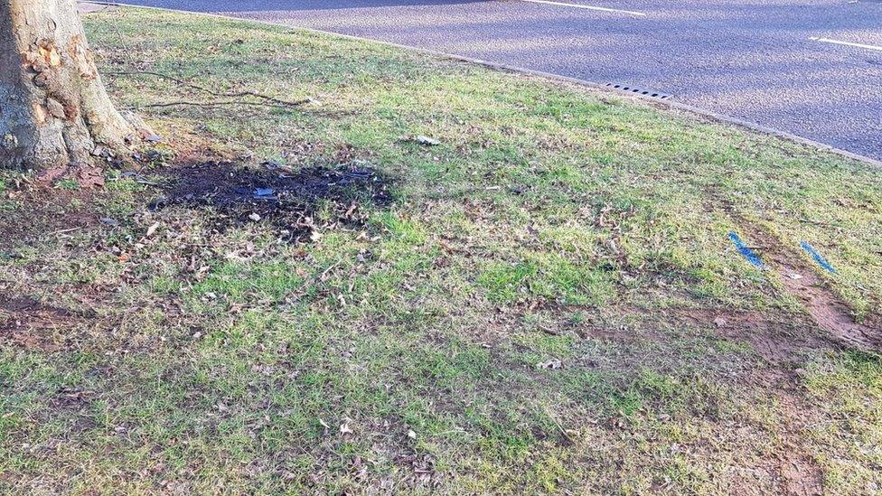 Tyre tracks next to a tree in Croftmeadow Court, Northampton