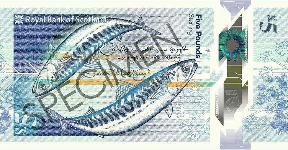 Reverse side of new £5 note