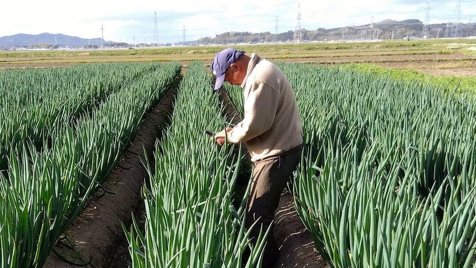 Farmer Kensuke Takahashi.