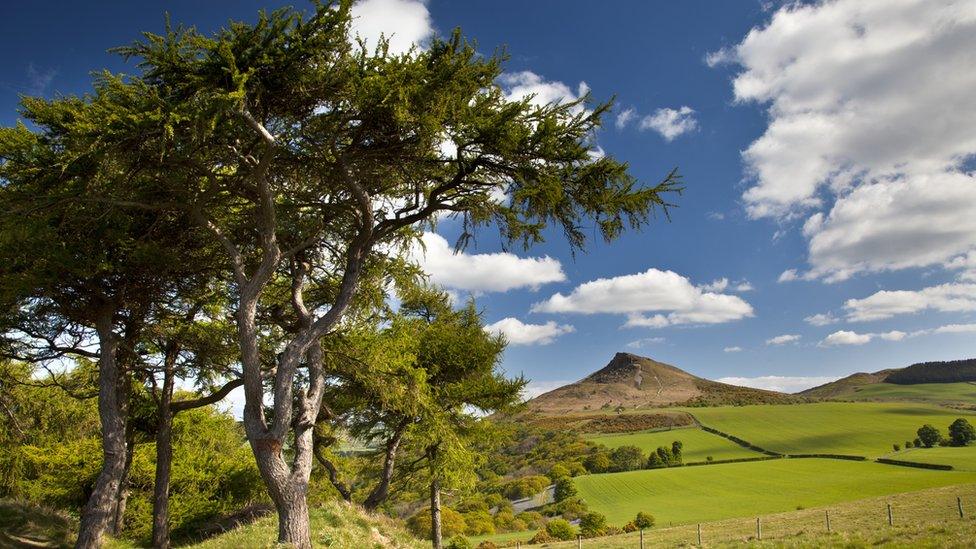 Roseberry Topping