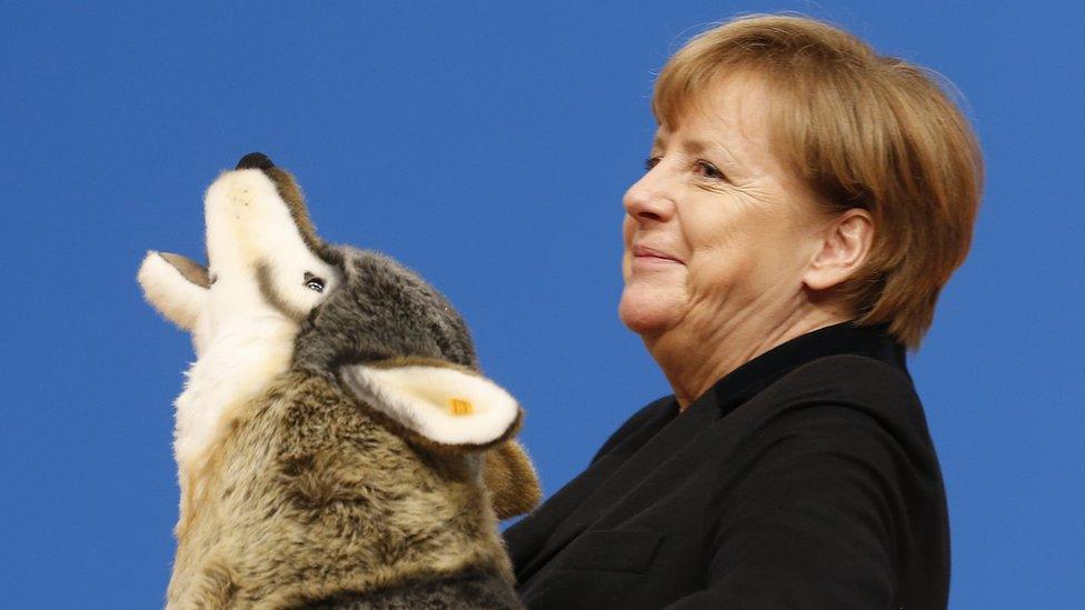 German Chancellor Angela Merkel holds a toy wolf she got as a present during her party's convention