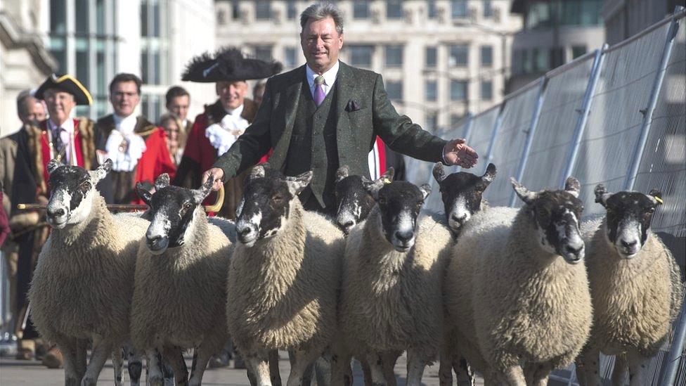 Alan Titchmarsh herding sheep