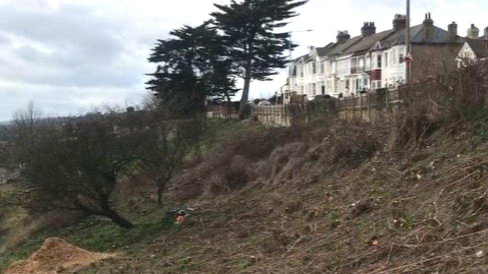 Trees removed Leigh Cliffs East