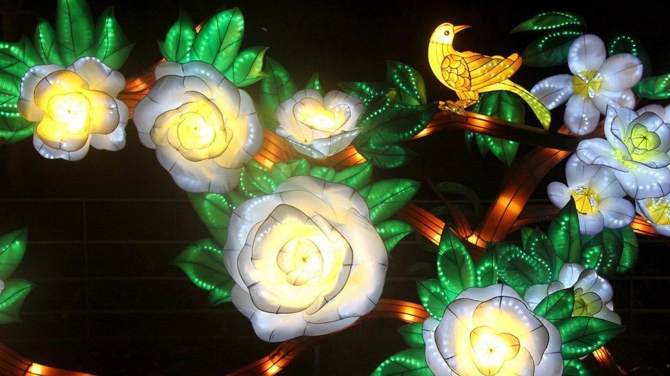 Chinese Lantern displays in Leeds
