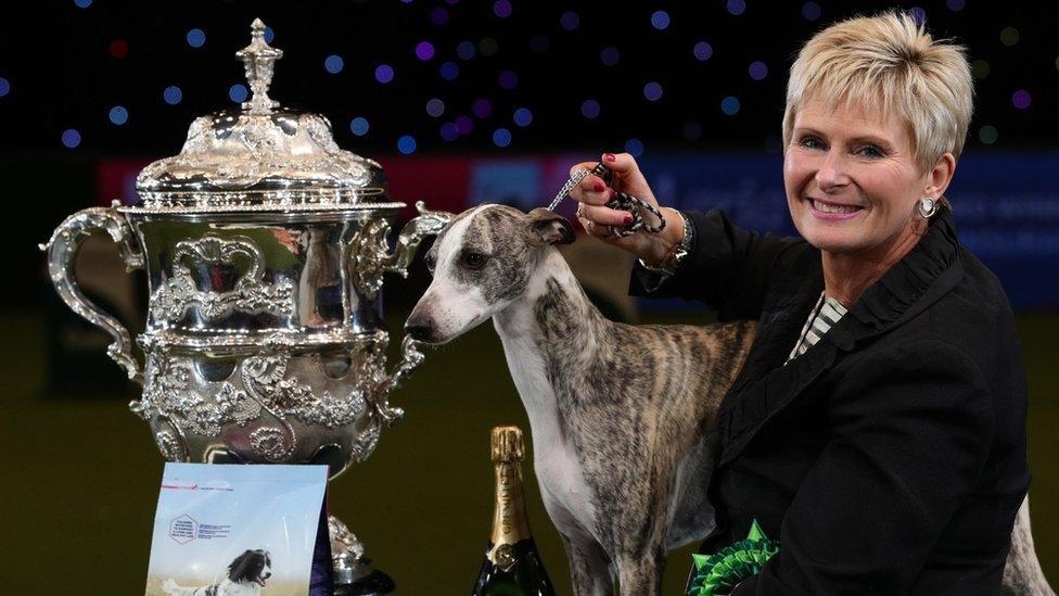 Tease, the Whippet, with owner Yvette Short after she was named Supreme Champion during the final day of Crufts 2018