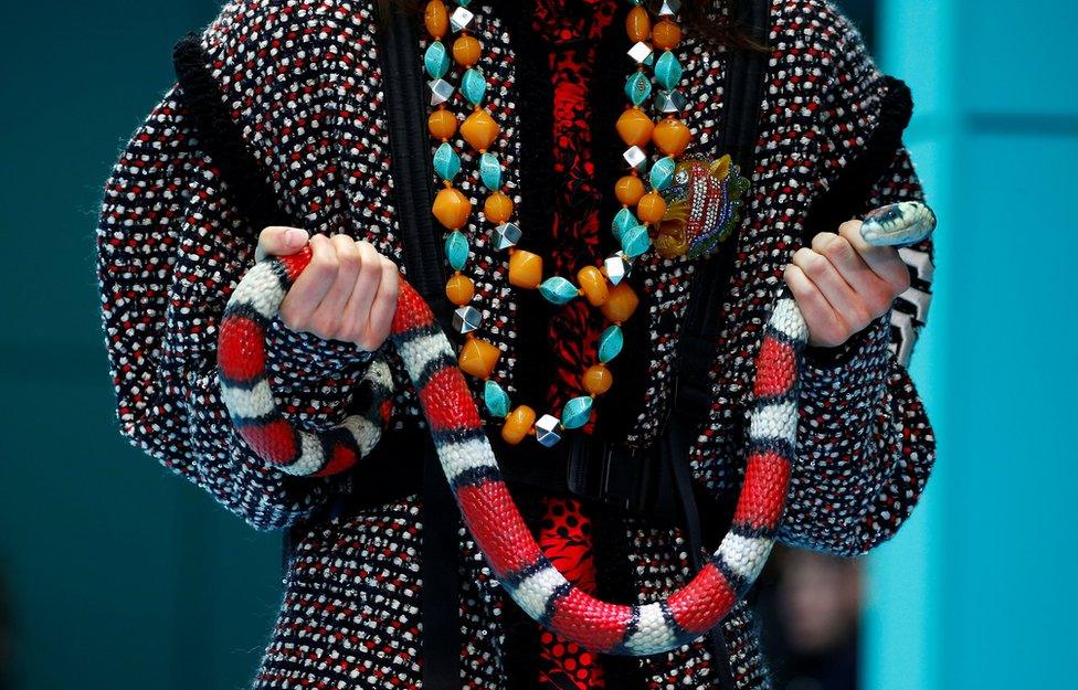 A female model holds a brightly coloured snake