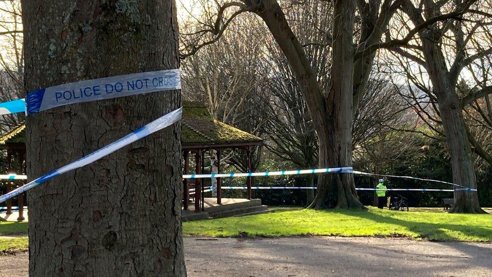 Police tape tied around trees in a park