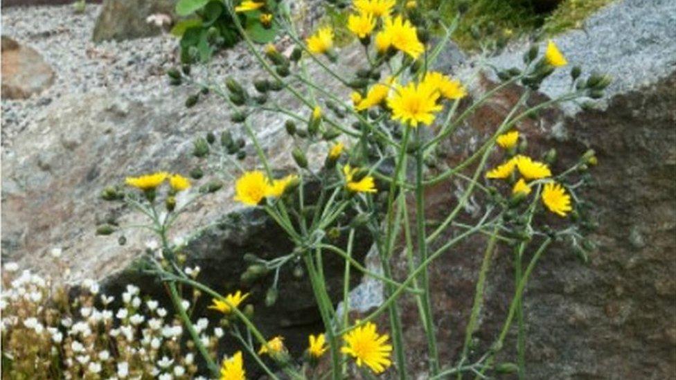 National Botanic Garden