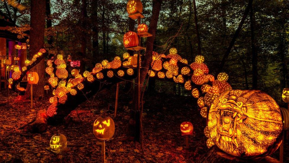 Spotted pumpkins in different sizes are positions along a long, curved tree trunk with a very large pumpkin decorated with a dragon's head at the end.