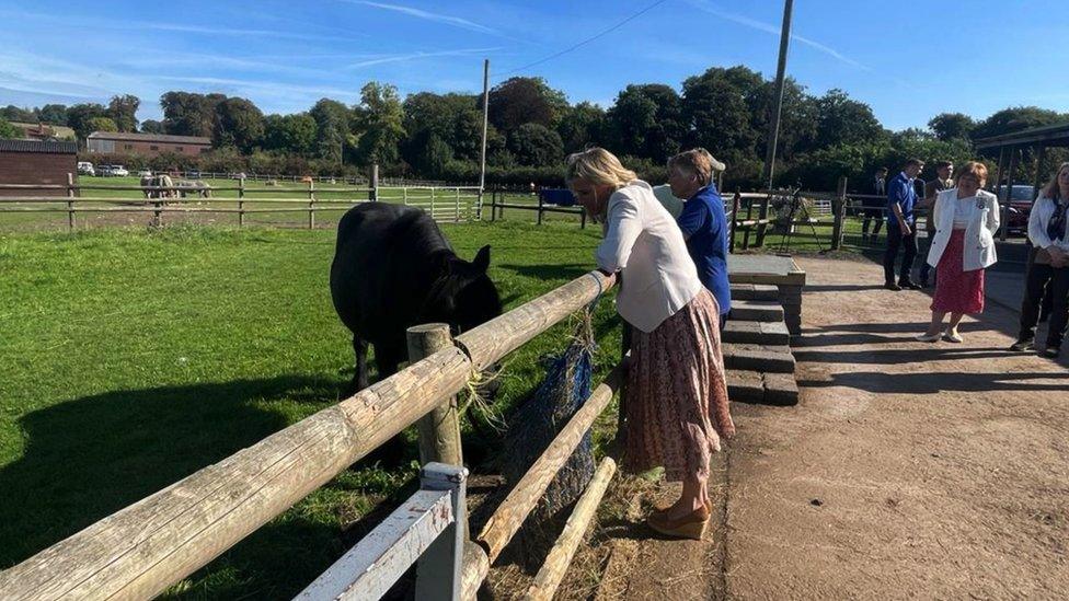 Duchess of Edinburgh reunited with 2 Balmoral ponies