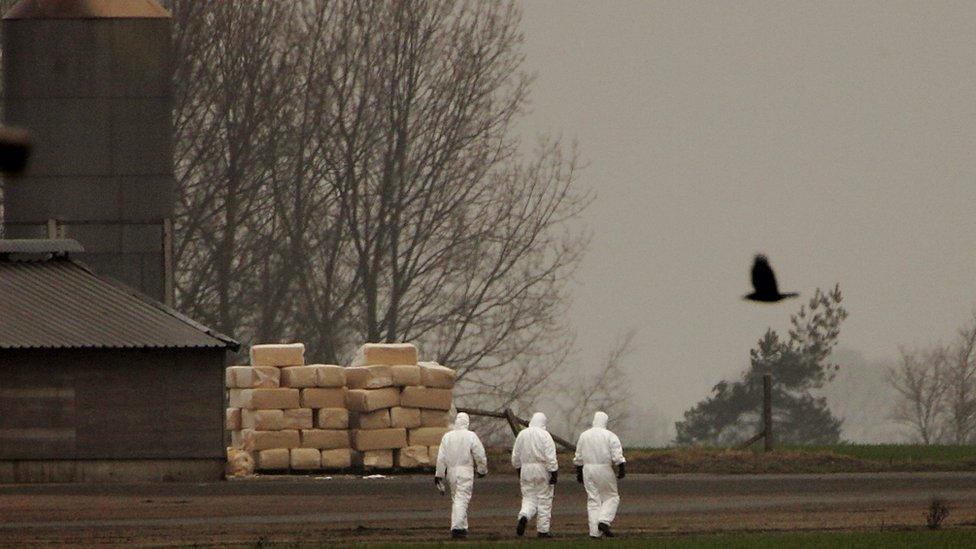 People dressed in personal protective equipment at a Bernard Matthews farm