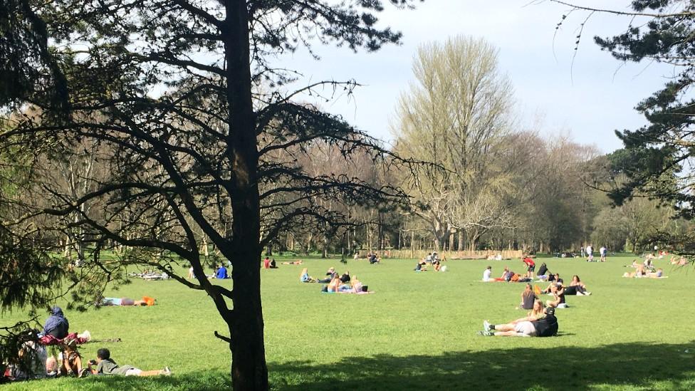 Bute Park, Cardiff