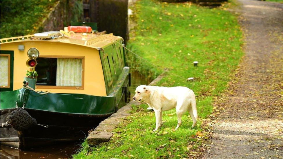 Monmouthshire and Brecon Canal