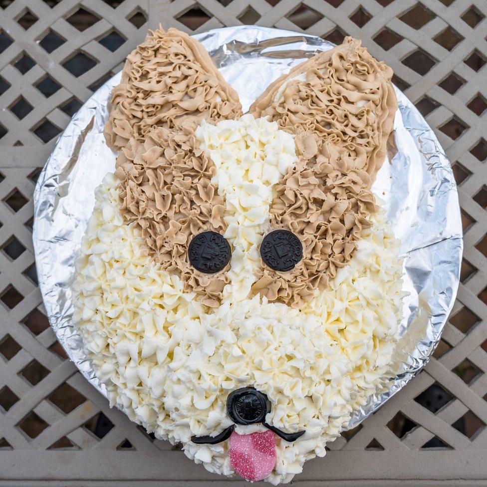 Corgi cake