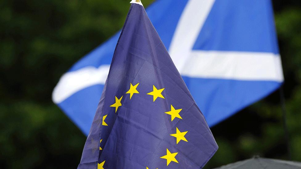 European flag and Saltire