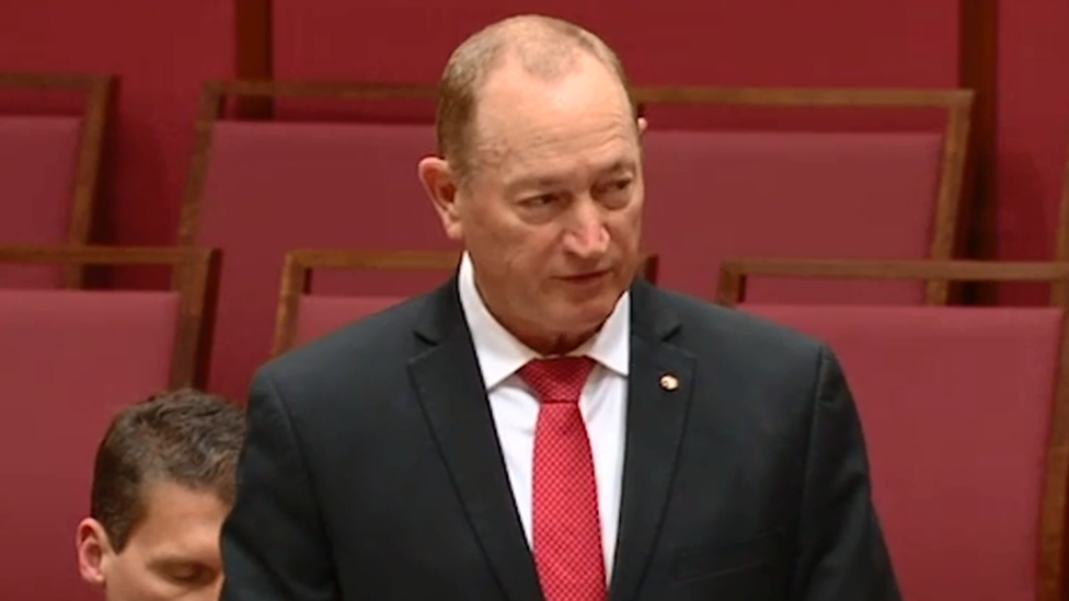 Senator Fraser Anning speaking in the Senate