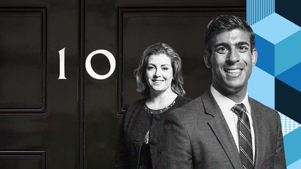 Penny Mordaunt and Rishi Sunak