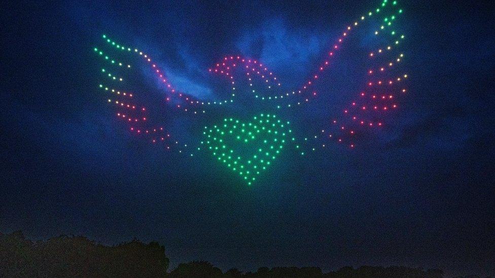 bird-movement-lights