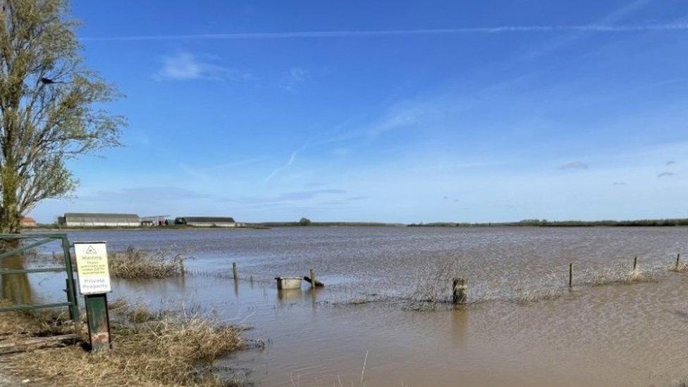 Flooded fields at Henry Ward's farm