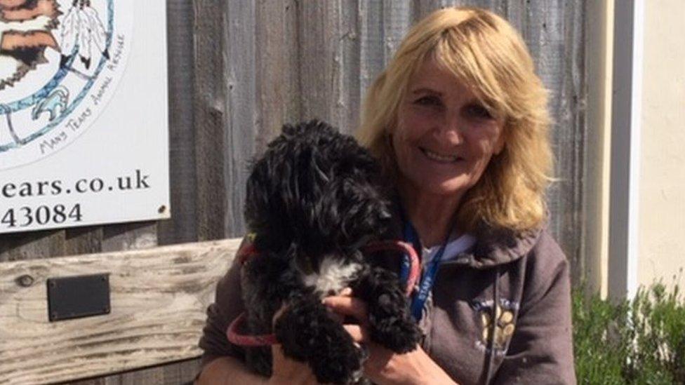 Karen Jones from Penclawdd with newly adopted Cavachon Archie