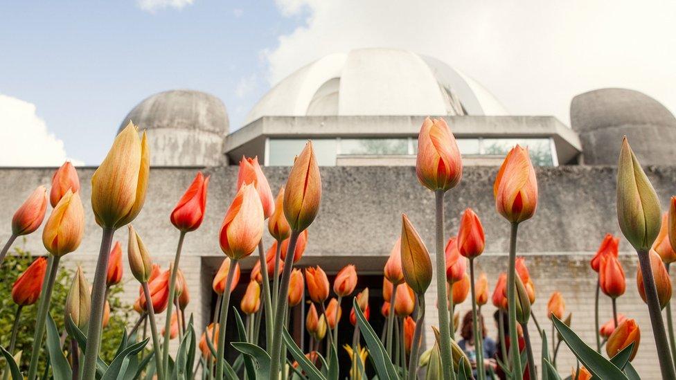 Murray Edwards College seen through tulips