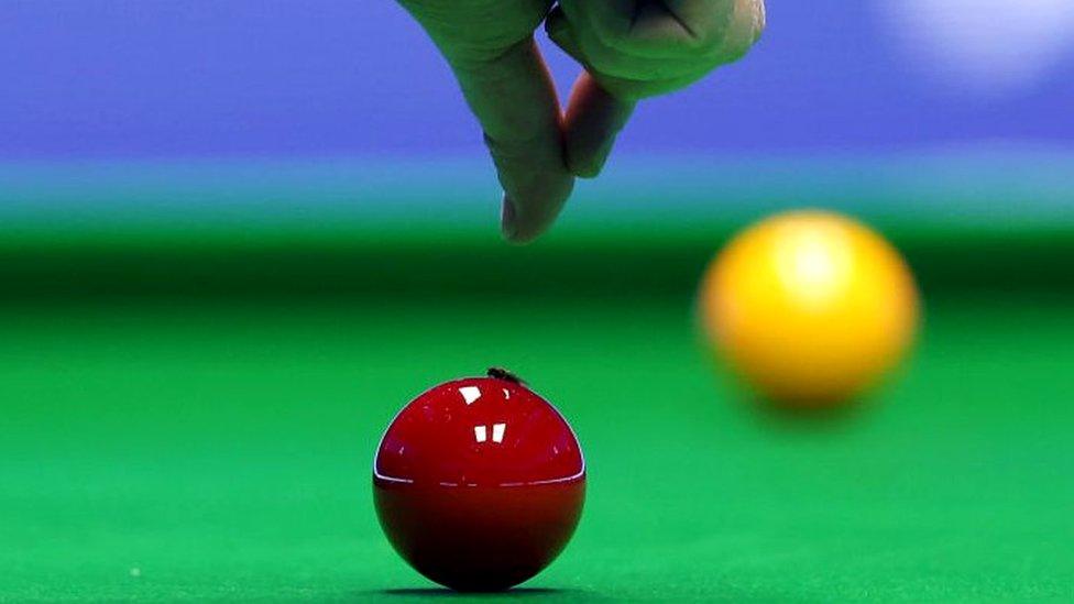 Snooker player Mark Williams had to contend with a fly on the ball during his match at the Masters on Monday.