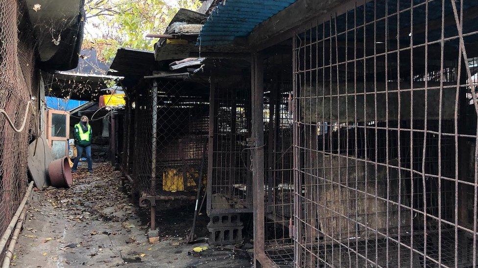 Cages at the Taepyeong-dong dog slaughterhouse complex in Seongnam city, south of Seoul