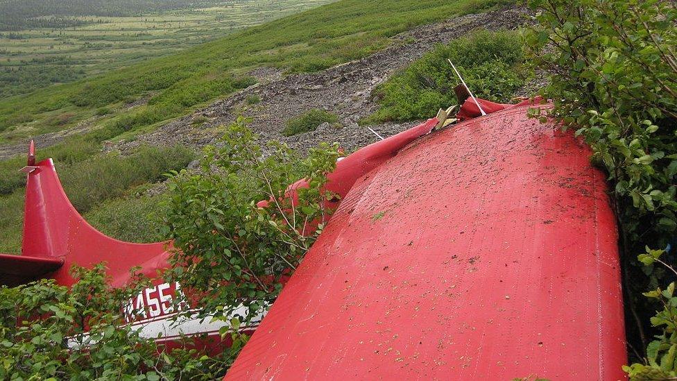 The crashed plane