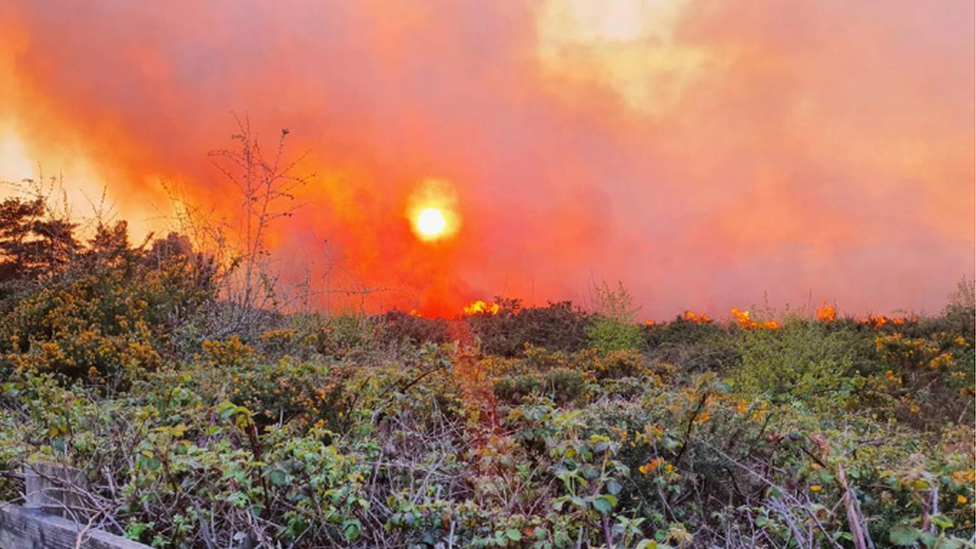 Fire at Catford Heath