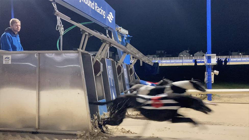 Romford Greyhound Stadium