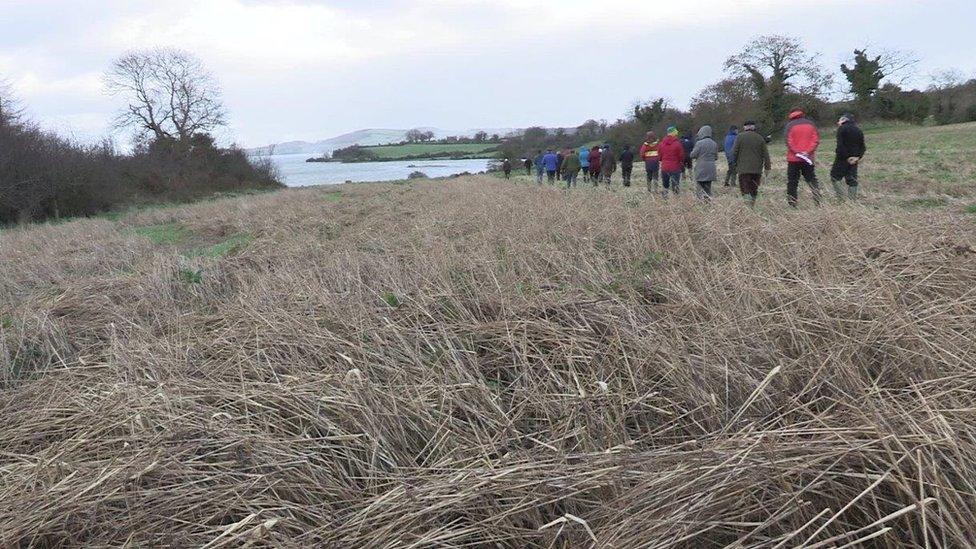 David leaves a three metre wide habitat strip around his barley fields, planted with the kind of grass the bird favours