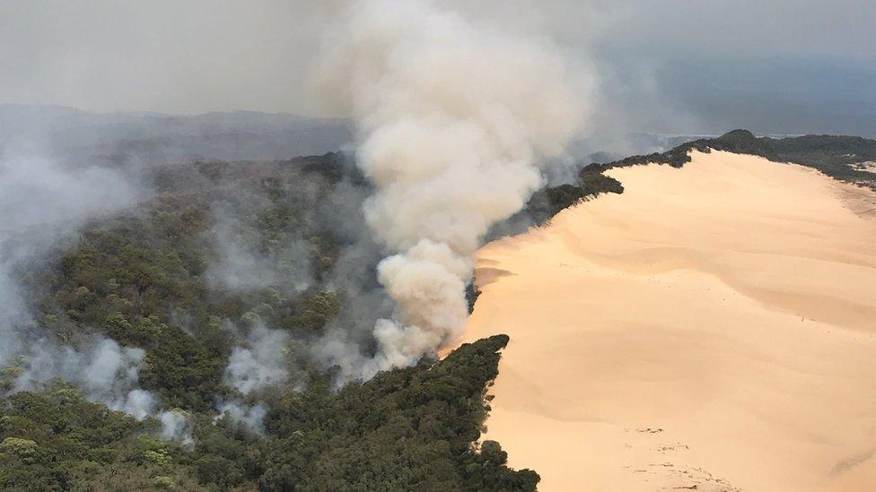 A smoke cloud rises from forest next to sand dunes at Fraser Island during bushfires in early December 2020