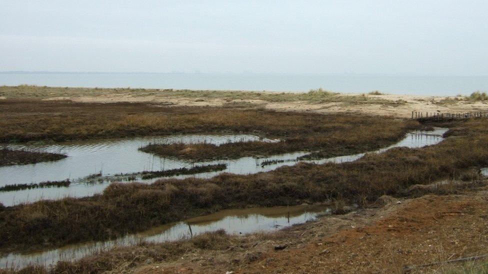 A general view of Hamford Water