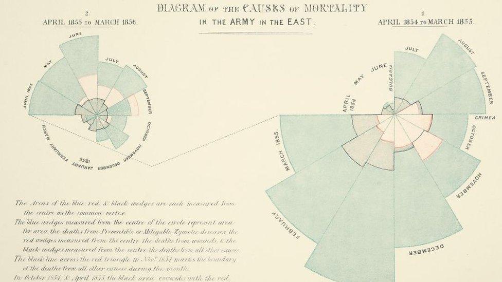 nightingale-roses-diagram.