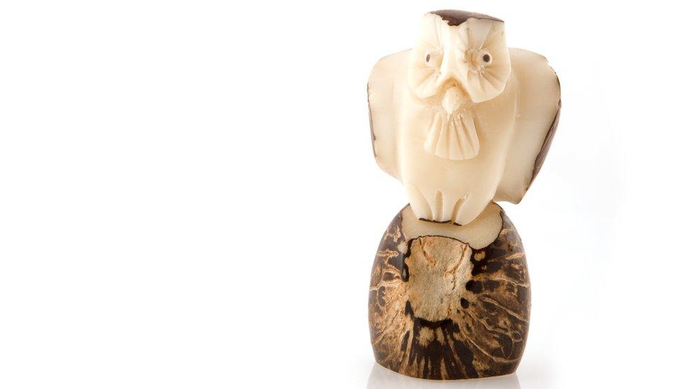 An owl sculptured from tagua