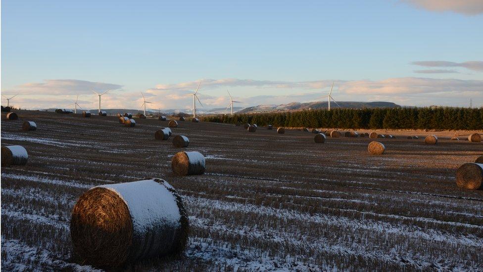 Field in winter